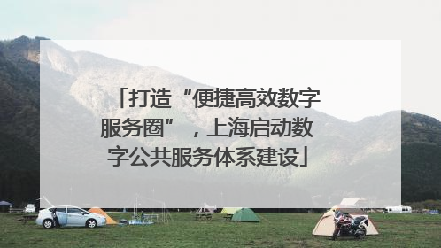打造“便捷高效数字服务圈”，上海启动数字公共服务体系建设