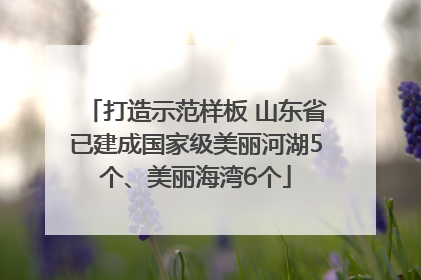 打造示范样板 山东省已建成国家级美丽河湖5个、美丽海湾6个