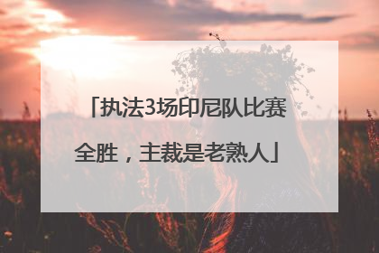执法3场印尼队比赛全胜，主裁是老熟人