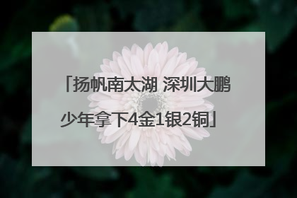 扬帆南太湖 深圳大鹏少年拿下4金1银2铜