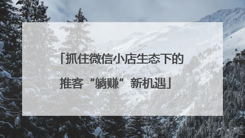 抓住微信小店生态下的推客“躺赚”新机遇