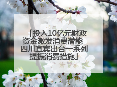 投入10亿元财政资金激发消费潜能 四川宜宾出台一系列提振消费措施