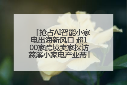抢占AI智能小家电出海新风口 超100家跨境卖家探访慈溪小家电产业带