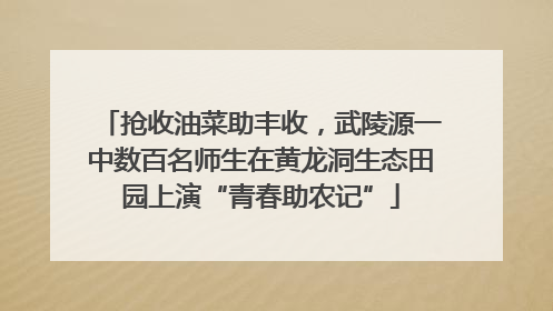 抢收油菜助丰收，武陵源一中数百名师生在黄龙洞生态田园上演“青春助农记”