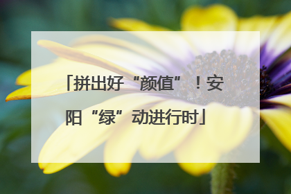 拼出好“颜值”！安阳“绿”动进行时