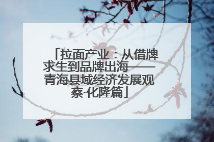 拉面产业：从借牌求生到品牌出海——青海县域经济发展观察·化隆篇