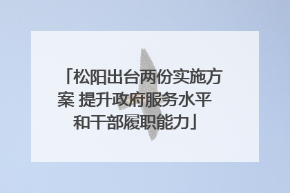 松阳出台两份实施方案 提升政府服务水平和干部履职能力
