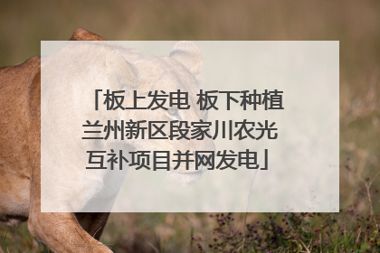 板上发电 板下种植 兰州新区段家川农光互补项目并网发电