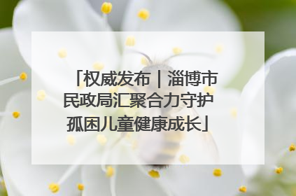 权威发布｜淄博市民政局汇聚合力守护孤困儿童健康成长
