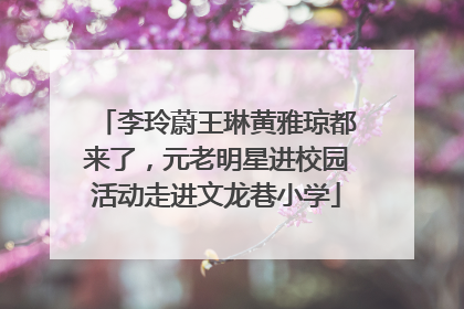 李玲蔚王琳黄雅琼都来了，元老明星进校园活动走进文龙巷小学