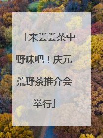 来尝尝茶中野味吧！庆元荒野茶推介会举行