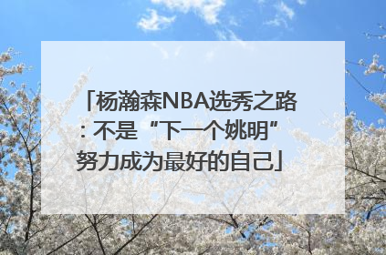 杨瀚森NBA选秀之路：不是“下一个姚明” 努力成为最好的自己