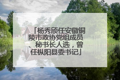 杨秀颀任安徽铜陵市政协党组成员、秘书长人选，曾任枞阳县委书记