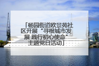 杨园街道欧景苑社区开展“寻根城市发展 践行初心使命”主题党日活动