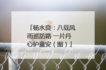 杨水良：八载风雨巡防路 一片丹心护童安（图）
