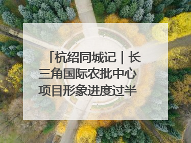 杭绍同城记｜长三角国际农批中心项目形象进度过半，华东“菜篮子”建设加码提速！