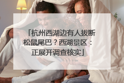 杭州西湖边有人拔断松鼠尾巴？西湖景区：正展开调查核实