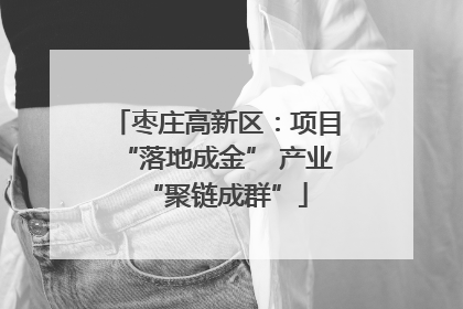 枣庄高新区：项目“落地成金” 产业“聚链成群”