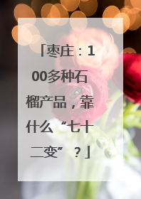 枣庄：100多种石榴产品，靠什么“七十二变”？