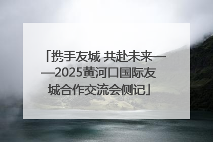 携手友城 共赴未来——2025黄河口国际友城合作交流会侧记