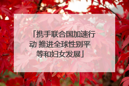 携手联合国加速行动 推进全球性别平等和妇女发展