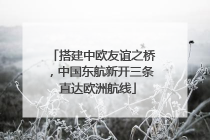 搭建中欧友谊之桥，中国东航新开三条直达欧洲航线