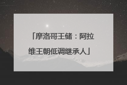 摩洛哥王储：阿拉维王朝低调继承人