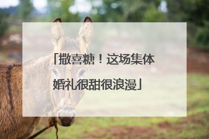 撒喜糖！这场集体婚礼很甜很浪漫