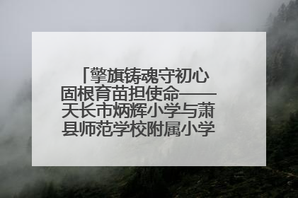 擎旗铸魂守初心 固根育苗担使命——天长市炳辉小学与萧县师范学校附属小学结对共建活动纪实