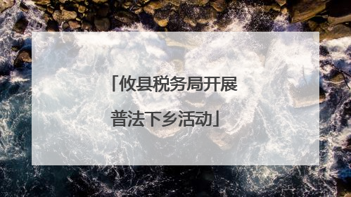 攸县税务局开展普法下乡活动