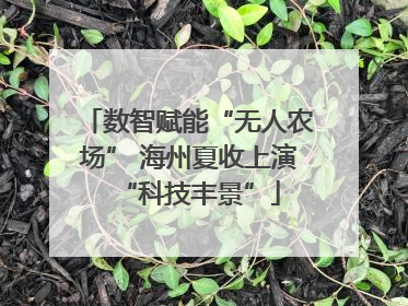 数智赋能“无人农场” 海州夏收上演“科技丰景”
