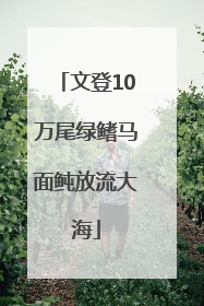 文登10万尾绿鳍马面鲀放流大海