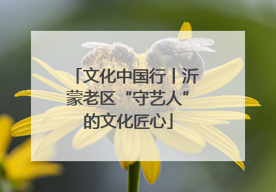 文化中国行丨沂蒙老区“守艺人”的文化匠心