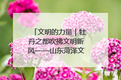 文明的力量｜牡丹之都吹拂文明新风——山东菏泽文明创建一线见闻