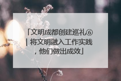 文明成都创建巡礼⑥｜将文明融入工作实践，他们做出成效