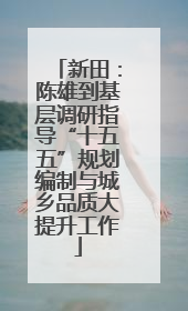 新田：陈雄到基层调研指导“十五五”规划编制与城乡品质大提升工作