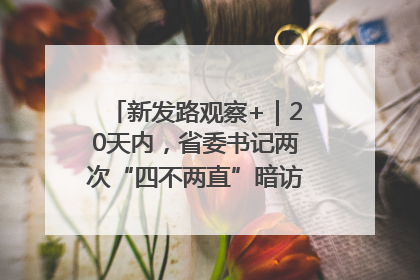 新发路观察+｜20天内，省委书记两次“四不两直”暗访，有何深意？