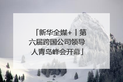 新华全媒+丨第六届跨国公司领导人青岛峰会开幕