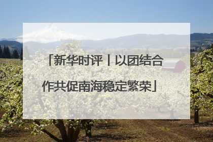 新华时评丨以团结合作共促南海稳定繁荣