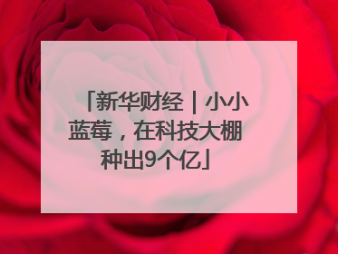 新华财经｜小小蓝莓，在科技大棚种出9个亿