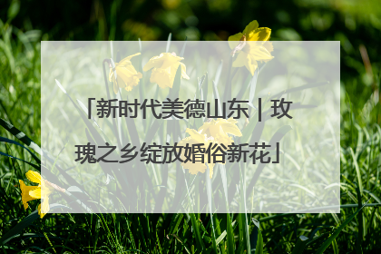 新时代美德山东｜玫瑰之乡绽放婚俗新花