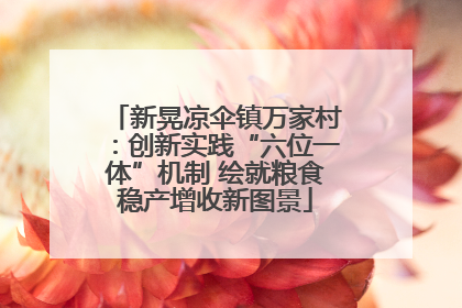 新晃凉伞镇万家村：创新实践“六位一体”机制 绘就粮食稳产增收新图景