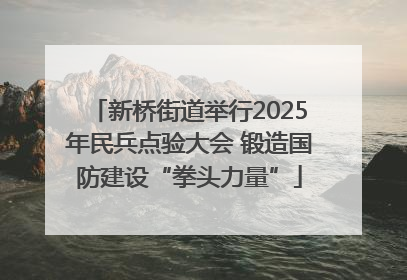 新桥街道举行2025年民兵点验大会 锻造国防建设“拳头力量”