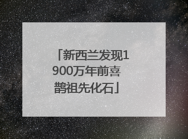 新西兰发现1900万年前喜鹊祖先化石