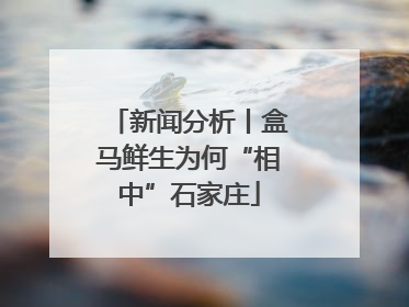 新闻分析丨盒马鲜生为何“相中”石家庄