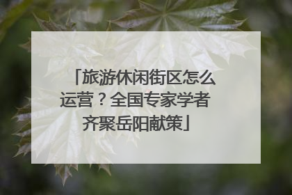 旅游休闲街区怎么运营？全国专家学者齐聚岳阳献策
