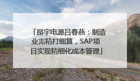 昆宇电源吕春燕：制造业需精打细算，SAP项目实现精细化成本管理