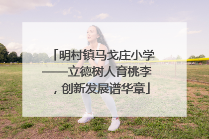 明村镇马戈庄小学——立德树人育桃李，创新发展谱华章
