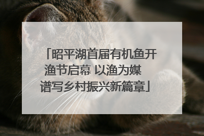 昭平湖首届有机鱼开渔节启幕 以渔为媒 谱写乡村振兴新篇章