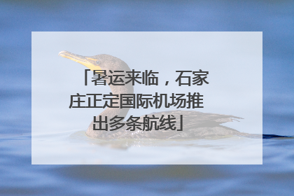 暑运来临，石家庄正定国际机场推出多条航线